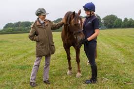 Princess Royal rehomes a pony